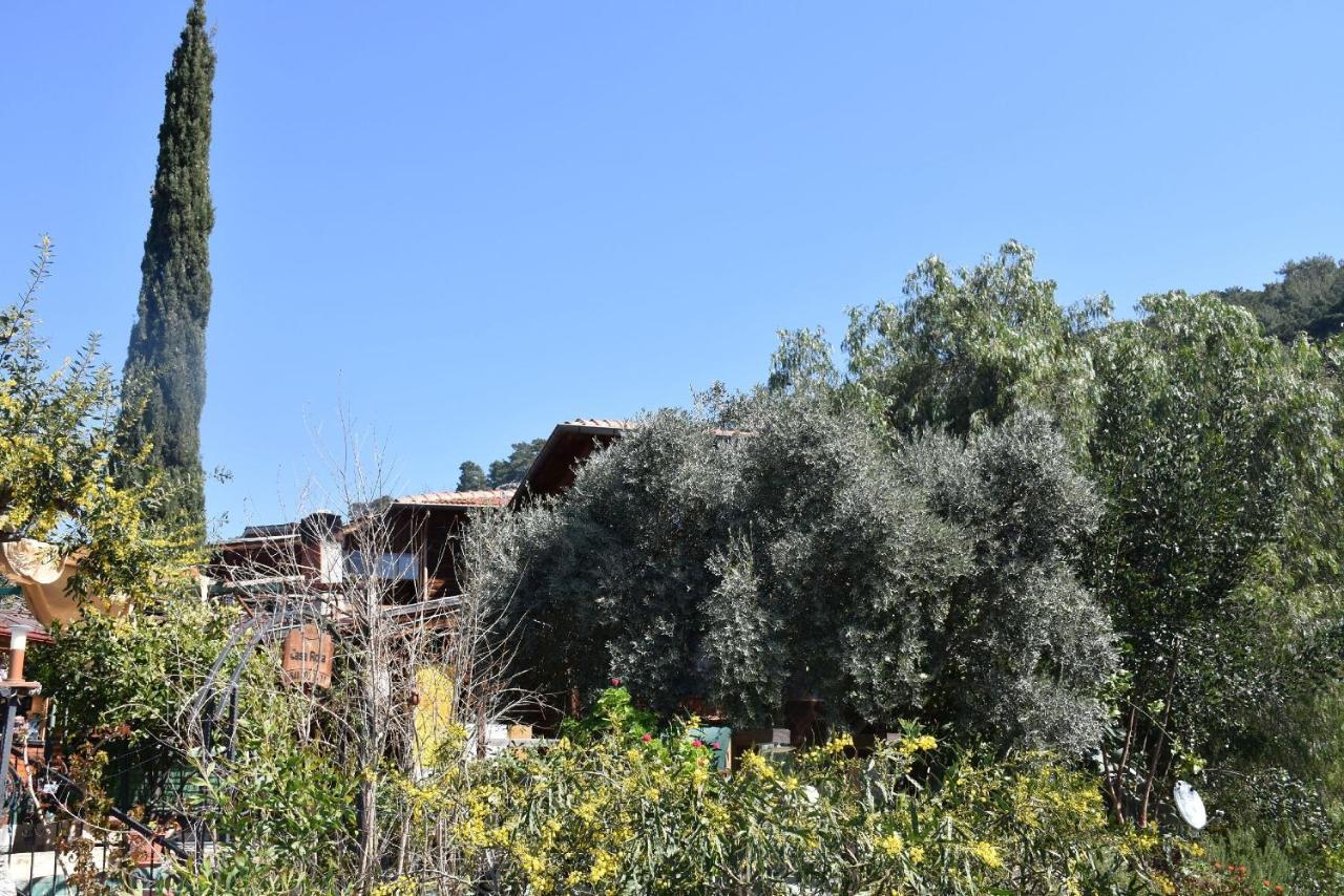 Casa Roja Διαμέρισμα Cedit Εξωτερικό φωτογραφία