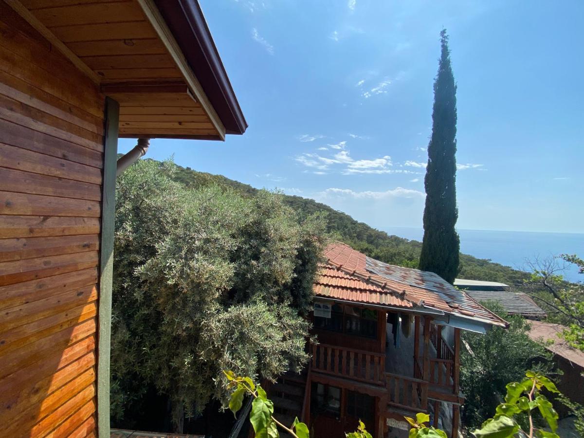 Casa Roja Διαμέρισμα Cedit Εξωτερικό φωτογραφία
