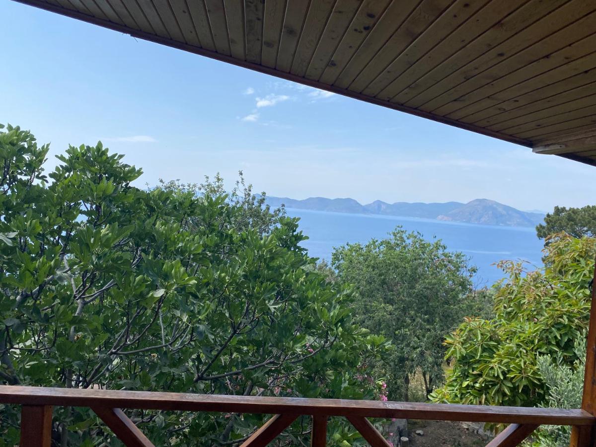Casa Roja Διαμέρισμα Cedit Εξωτερικό φωτογραφία