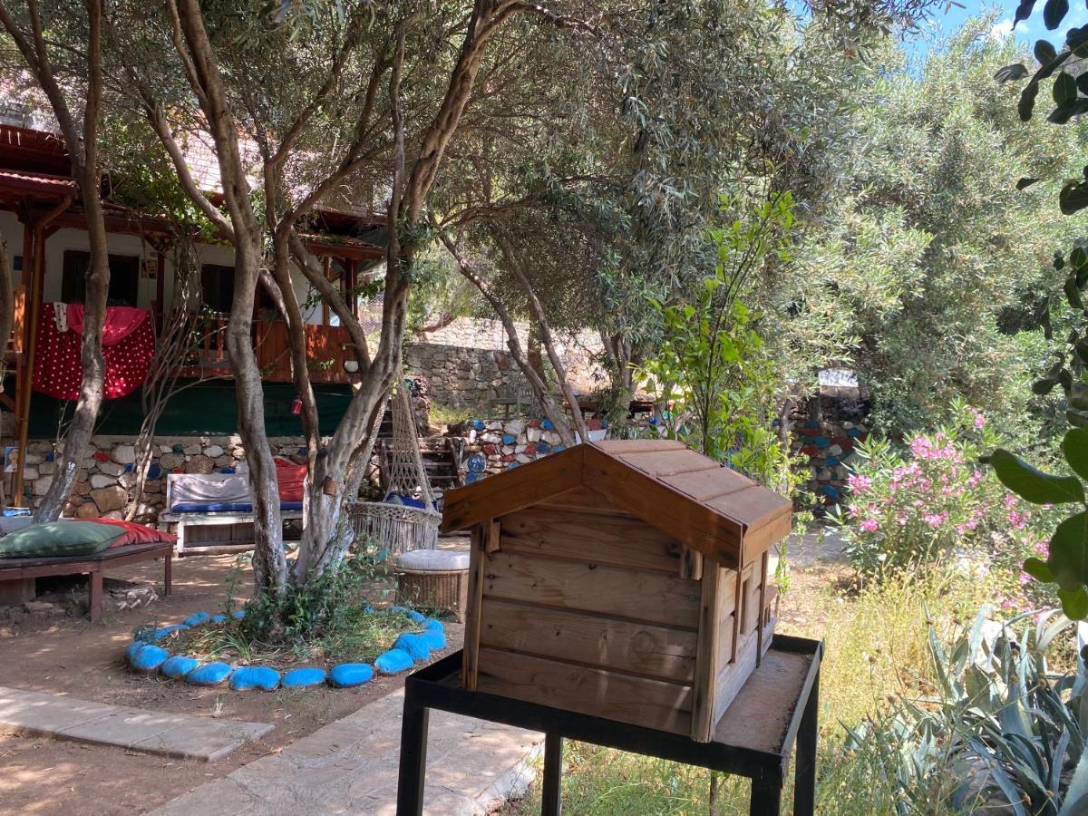 Casa Roja Διαμέρισμα Cedit Εξωτερικό φωτογραφία