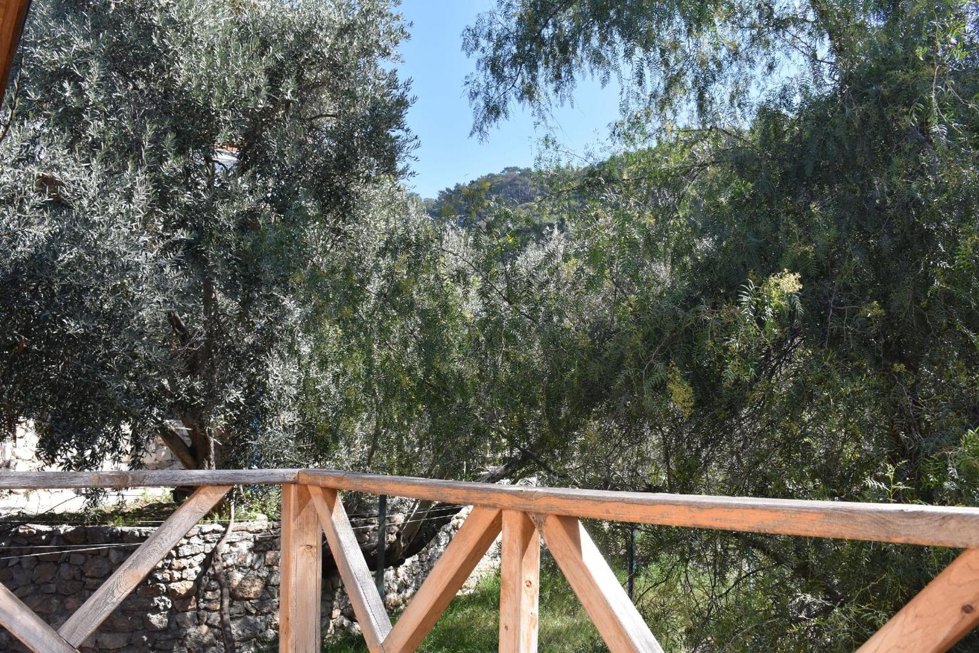 Casa Roja Διαμέρισμα Cedit Δωμάτιο φωτογραφία