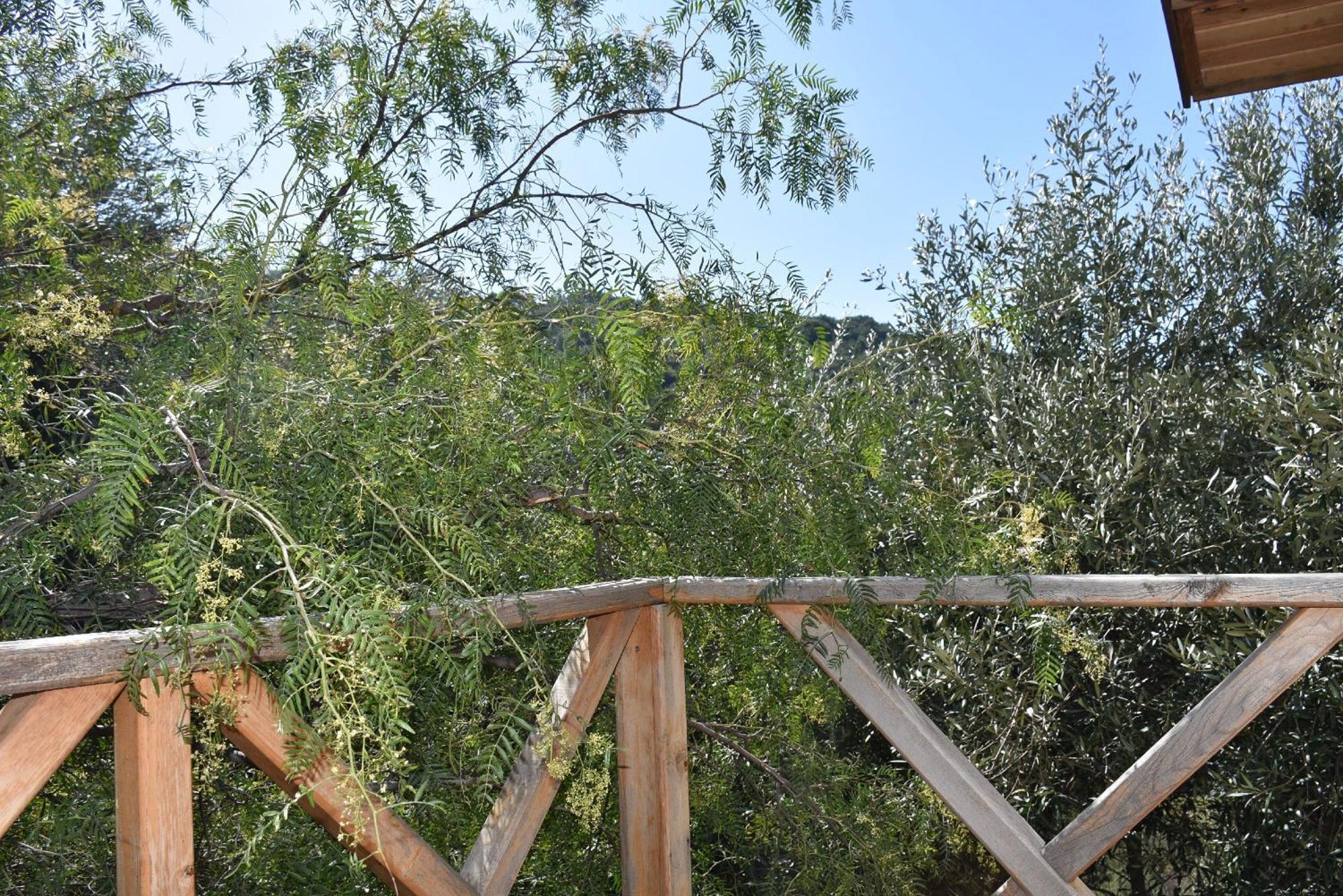Casa Roja Διαμέρισμα Cedit Δωμάτιο φωτογραφία
