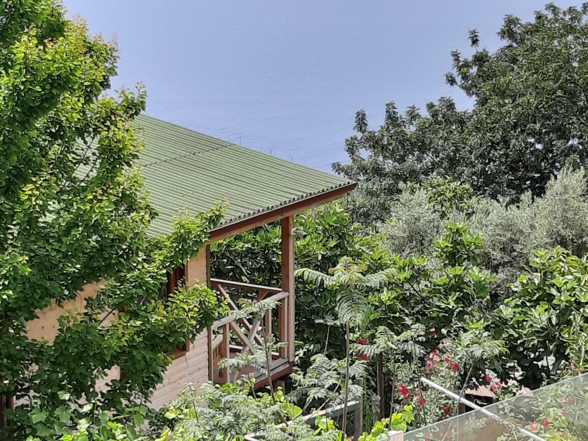 Casa Roja Διαμέρισμα Cedit Εξωτερικό φωτογραφία